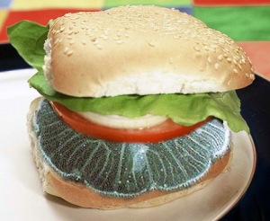 jellyburger