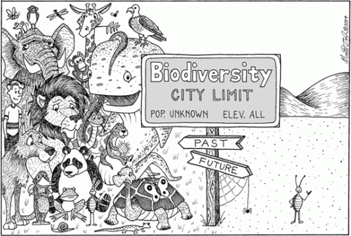 Cartoon Guide Biodiversity Loss XXXIX